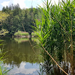 Photo n°6 de l'avis de Sabine.e fait le 25/06/2022 à 13:30 sur le  Vahrner See à Vahrn