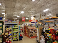 PetSmart - Photo 1 - Car repair in Tualatin, OR, Portland