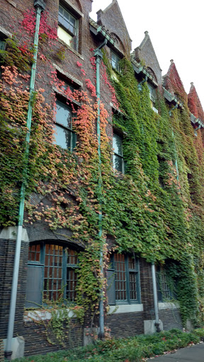 Performing Arts Theater «Collingwood Arts Center Inc», reviews and photos, 2413 Collingwood Blvd, Toledo, OH 43620, USA