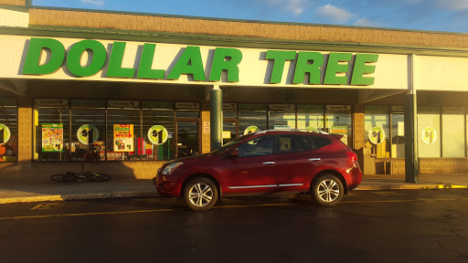 Dollar Store «Dollar Tree», reviews and photos, 537 Constitution Ave, Perkasie, PA 18944, USA