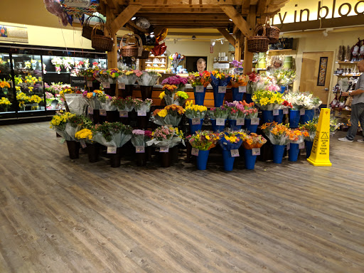 Safeway image