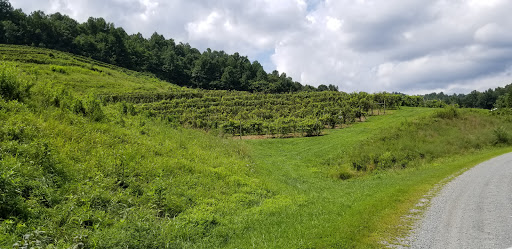 Winery «Delfosse Vineyards & Winery», reviews and photos, 500 DelFosse Winery Ln, Faber, VA 22938, USA