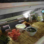 Photo n°2 de l'avis de Luciano.e fait le 28/10/2017 à 07:50 sur le  Ristorante Pizzeria Piccolo Mondo à Lucca