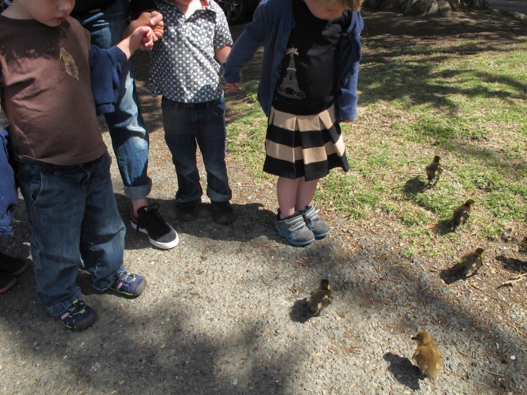 Berkeley Urban Garden School