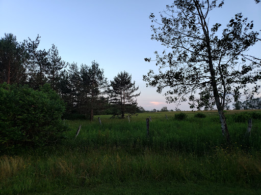 Hotel «The Arnold House», reviews and photos, 839 Shandelee Rd, Livingston Manor, NY 12758, USA