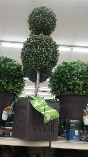 Discount Store «Big Lots», reviews and photos, 3055 183rd St, Homewood, IL 60430, USA