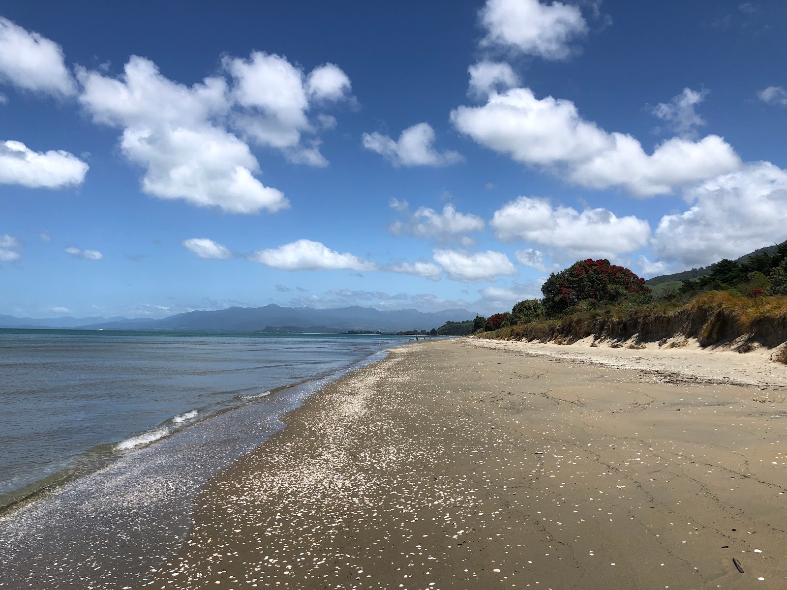 Foto de Pakawau Beach com reto e longo