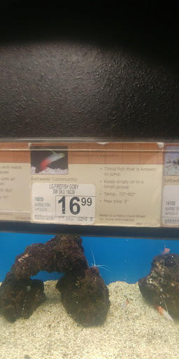 Pet Supply Store «Petco Animal Supplies», reviews and photos, 8775 SW Tualatin-Sherwood Rd, Tualatin, OR 97062, USA