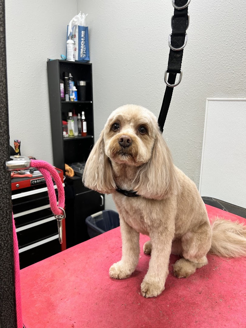 Muttley Crew Grooming