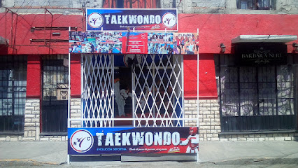 NC TAE-KWON-DO - Calle 2 Ote 707, Cuauhtemoc, 75740 Tehuacán, Pue., Mexico
