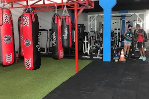 ACADEMIA BOXE EM AÇÃO image