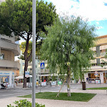 Photo n°5 de l'avis de Filippo.o fait le 01/08/2022 à 12:15 sur le  Ristorante Al Mazzini à Gabicce Mare