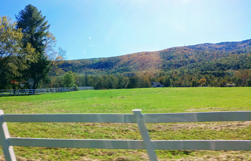 National Forest «Pisgah National Forest», reviews and photos, 1600 Pisgah Highway, Nebo, NC 28761, USA