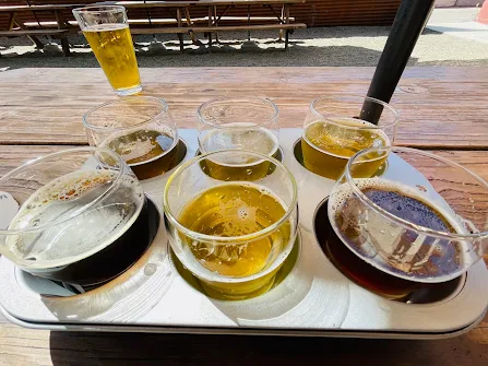 Craft beer at a brewery in Atascadero California