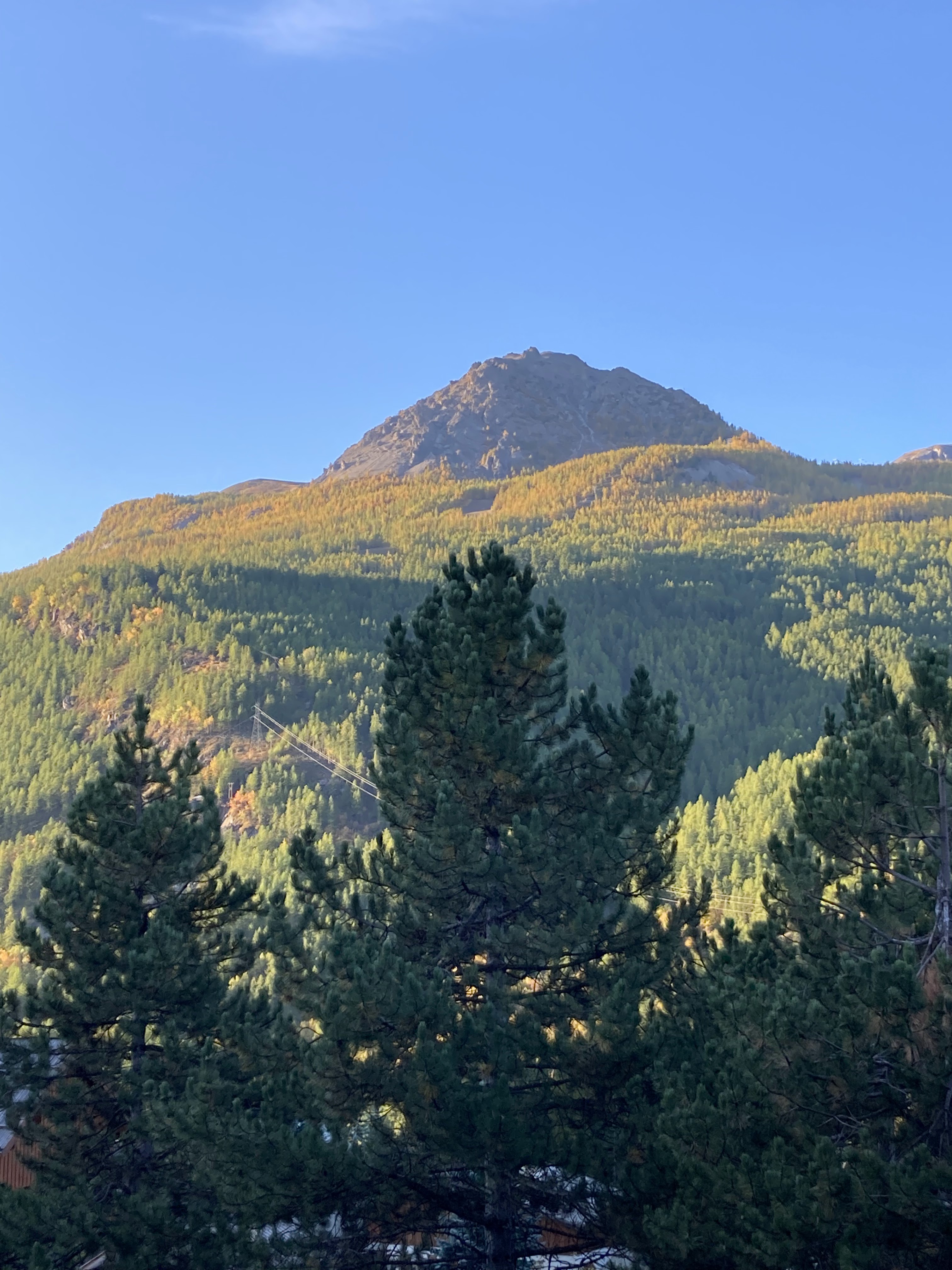 Photo n° 2 de l'avis de Vik. fait le 19/10/2021 à 19:51
