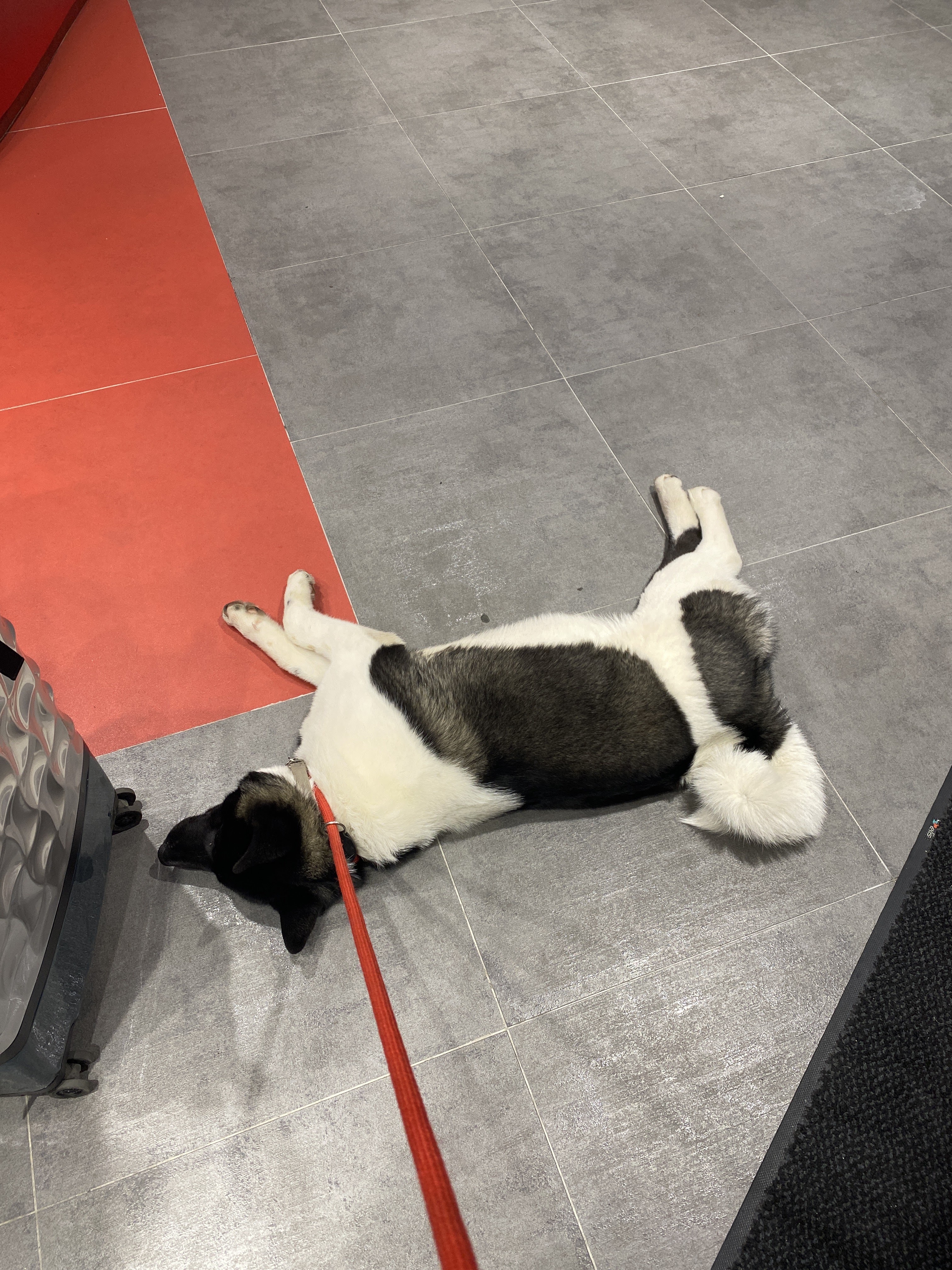 Photo n° 1 de l'avis de Elle.o fait le 04/02/2020 à 21:18