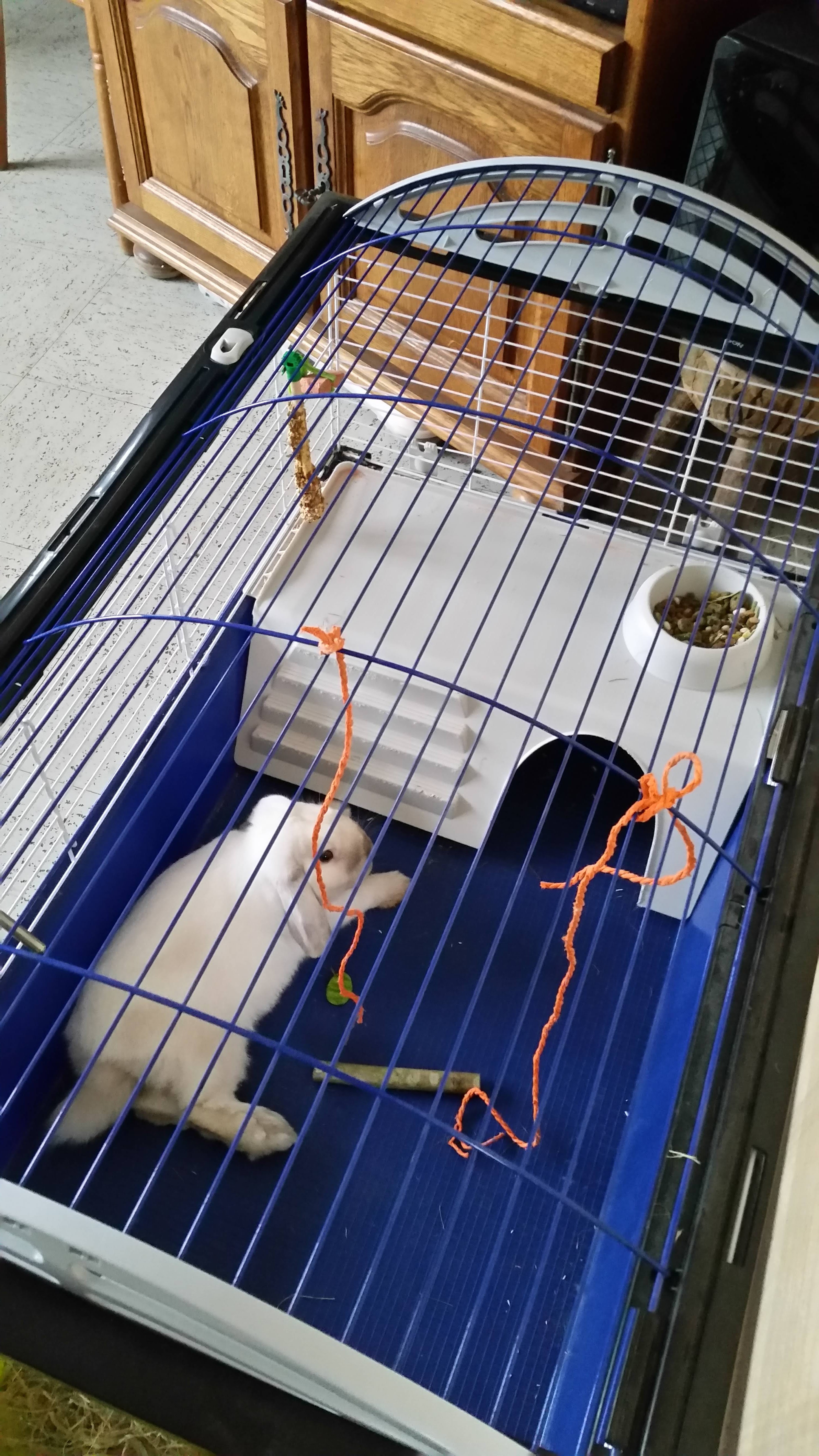 Photo n° 1 de l'avis de Chantal.u fait le 09/02/2019 à 16:10