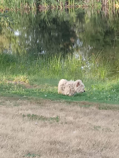 Park «Meridian Habitat Park & Community Center», reviews and photos, 14422 Meridian E, Puyallup, WA 98375, USA