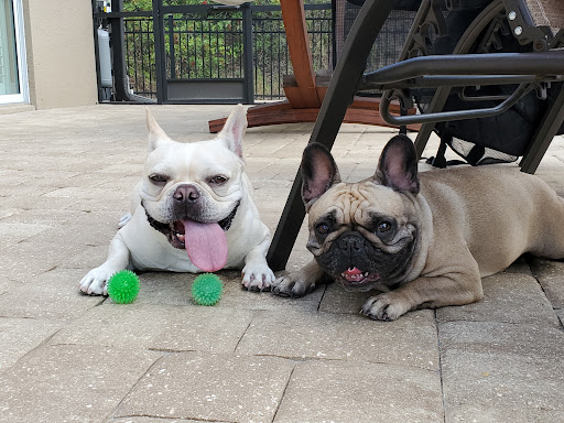 Pet Store «The Pet Zone», reviews and photos, 2001 South Rd, Poughkeepsie, NY 12601, USA