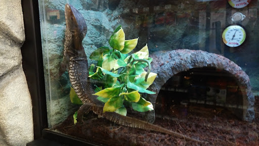 Pet Supply Store «Petco Animal Supplies», reviews and photos, 1753 St Lucie W Blvd, Port St Lucie, FL 34986, USA