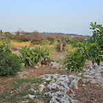 Photo n°4 de l'avis de Johannes.c fait le 22/07/2023 à 20:05 sur le  Antica Realtà Home Restaurant à Marina di Pescoluse