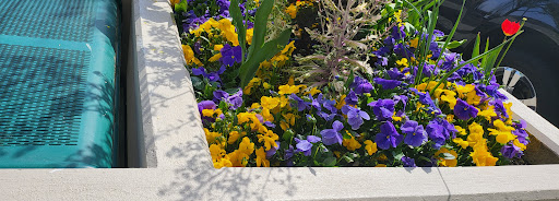 Shopping Mall «Park Place Shopping Center», reviews and photos, 17555 Southcenter Pkwy, Tukwila, WA 98188, USA