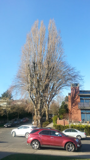 Park «Kerry Park», reviews and photos, 211 W Highland Dr, Seattle, WA 98119, USA