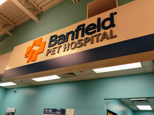 Pet Supply Store «PetSmart», reviews and photos, 1391 S Commons Dr, Myrtle Beach, SC 29588, USA