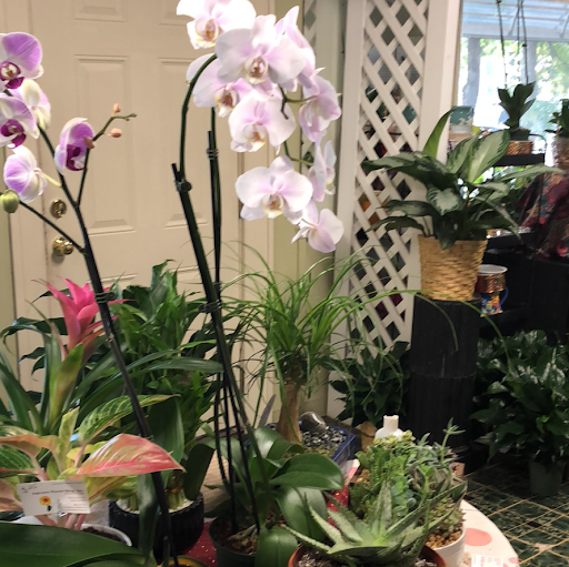 Florist «Fairview Flower Shop», reviews and photos, 1026 Sycamore Dr, Decatur, GA 30030, USA