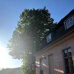 Photo n°10 de l'avis de dagny.o fait le 03/05/2018 à 05:28 sur le  Duval à Werder