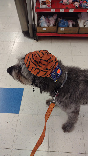 Pet Supply Store «Petco Animal Supplies», reviews and photos, 3380 124th Ave NW, Coon Rapids, MN 55433, USA