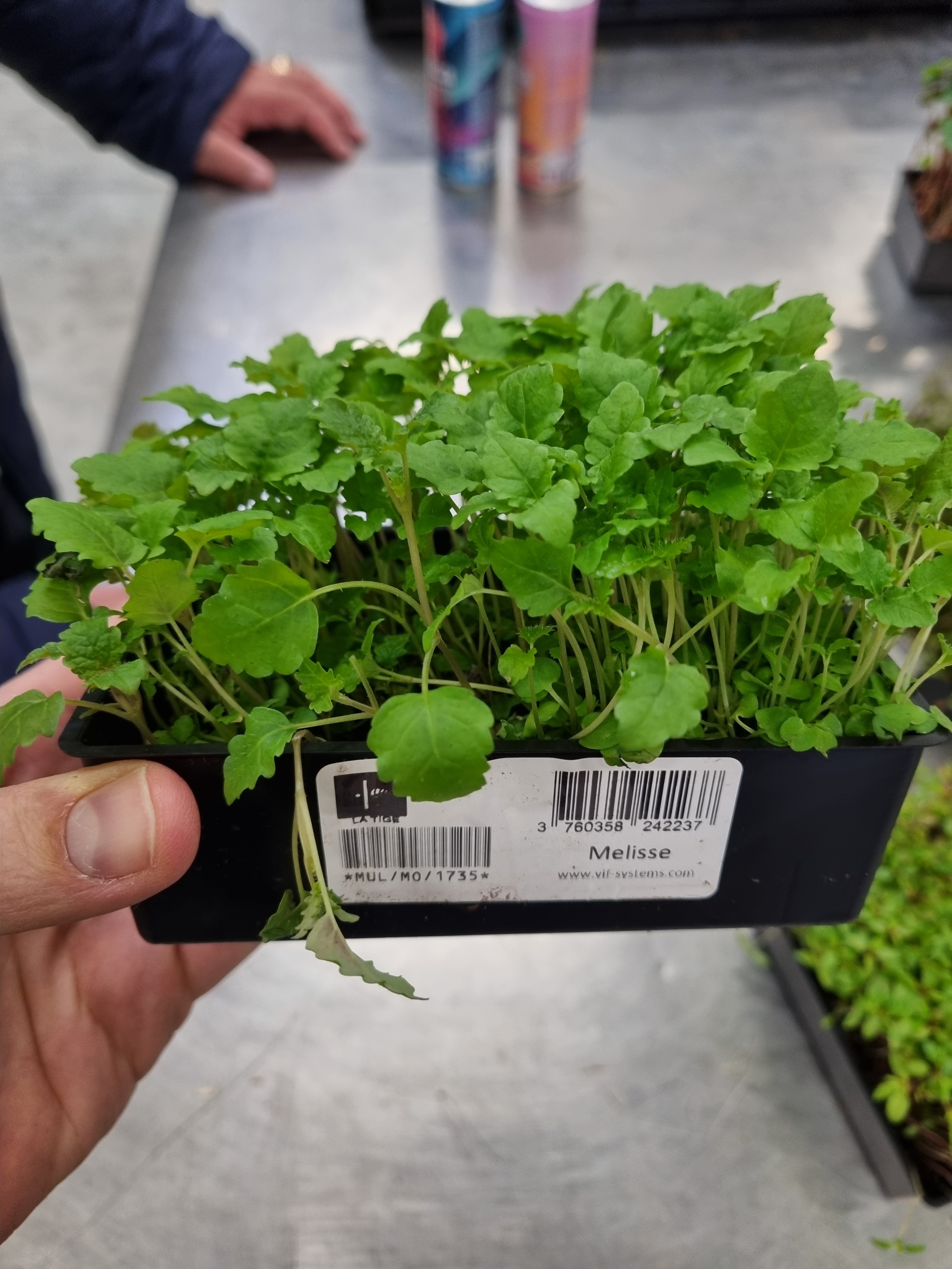 Photo n° 10 de l'avis de Yan.e fait le 23/04/2024 à 03:40