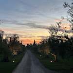 Photo n°4 de l'avis de anna.a fait le 11/05/2024 à 21:08 sur le  Osteria Caccia al Piano à Bolgheri I