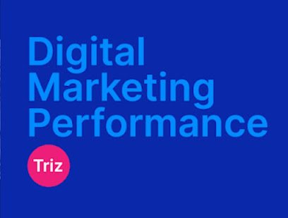 Digital Marketing Triz