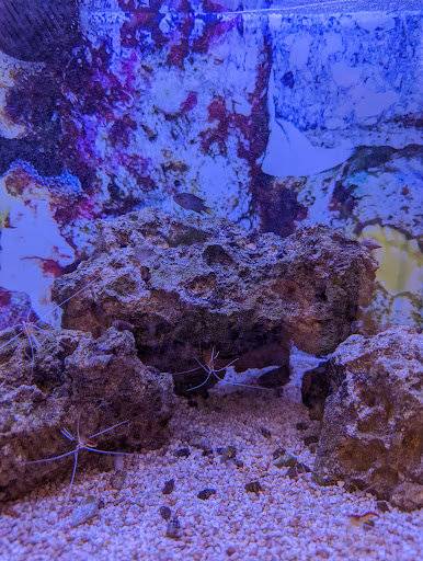 Pet Supply Store «Petco Animal Supplies», reviews and photos, 1610 Avenue Y, Brooklyn, NY 11235, USA