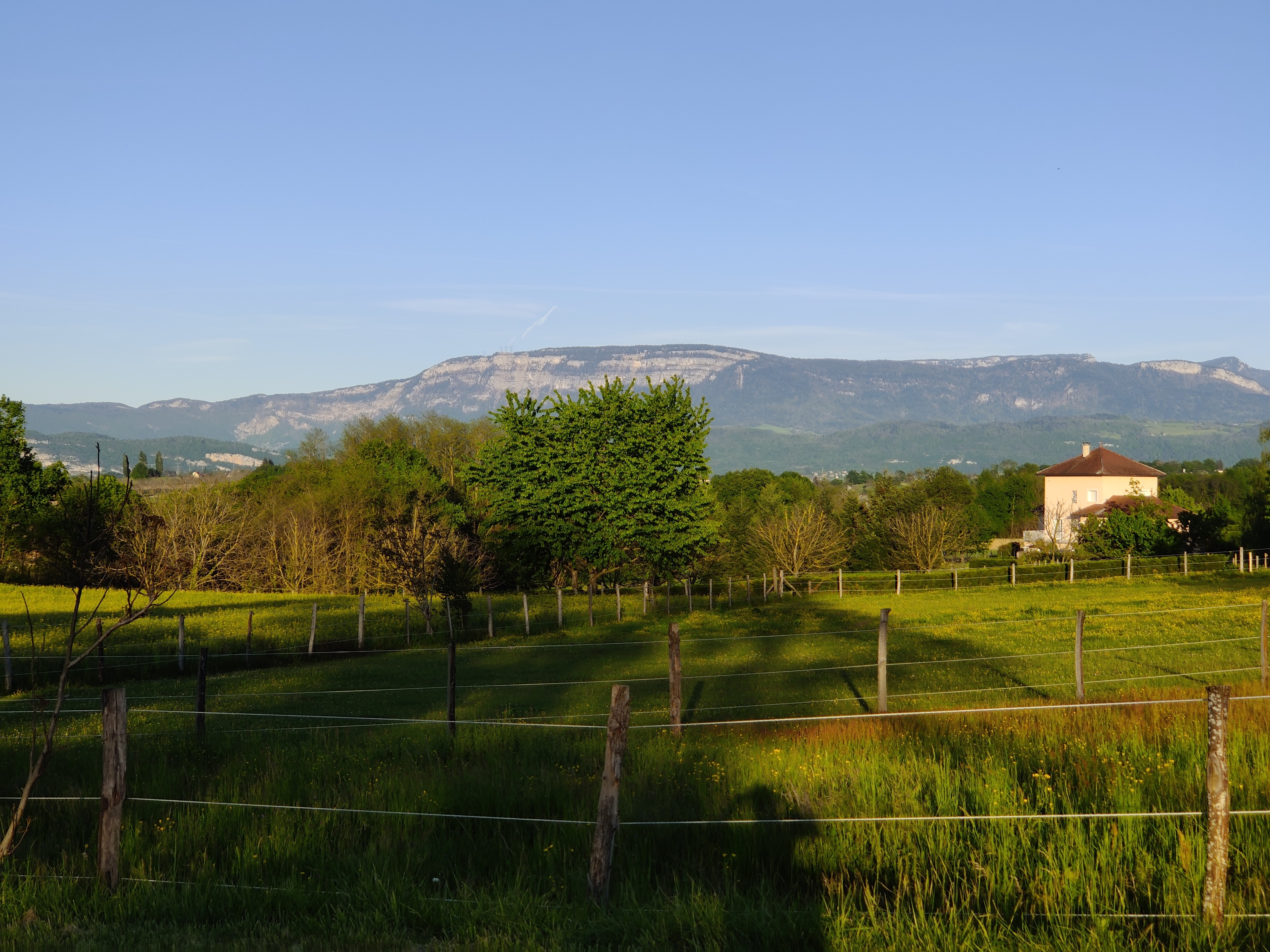 Photo n° 15 de l'avis de Adrianos.i fait le 10/07/2021 à 18:48