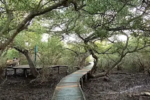 Coringa wildlife Sanctuary image