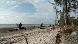 Torongguh Beach'in fotoğrafı vahşi alan