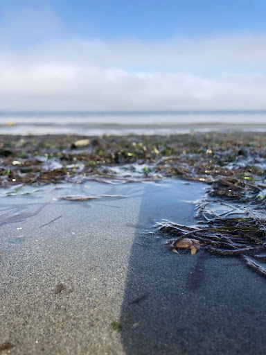 Park «Seahurst Park», reviews and photos, 1600 SW Seahurst Park Rd, Burien, WA 98166, USA