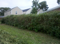 Parker & Parker Auto Detailing & More - Photo 6 - Car repair in Norfolk, VA, Norfolk