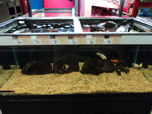 Pet Supply Store «Petco Animal Supplies», reviews and photos, 5850 Sepulveda Blvd, Van Nuys, CA 91411, USA