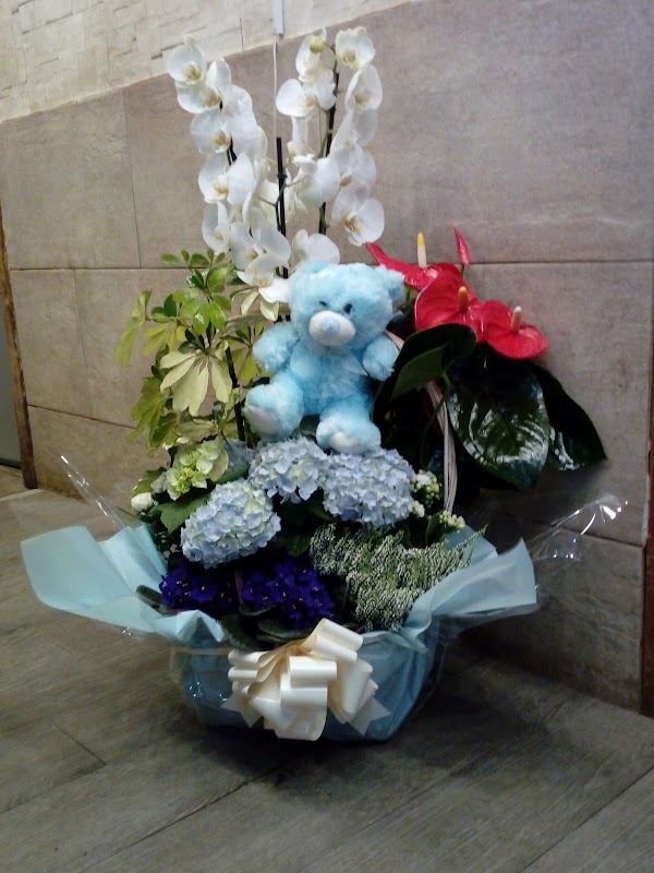 Imagen de Floristería Entreflores (3 de 10)