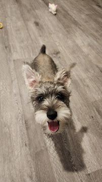 WOOF! Dog Care Center - Photo 8 - Car repair in Lincoln, NE, Lincoln