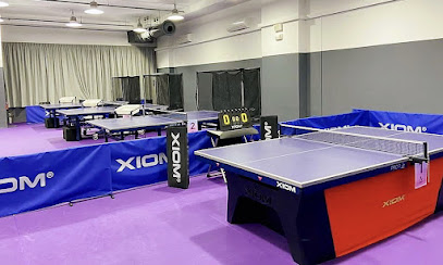 GLYX SPORTS Table Tennis Academy