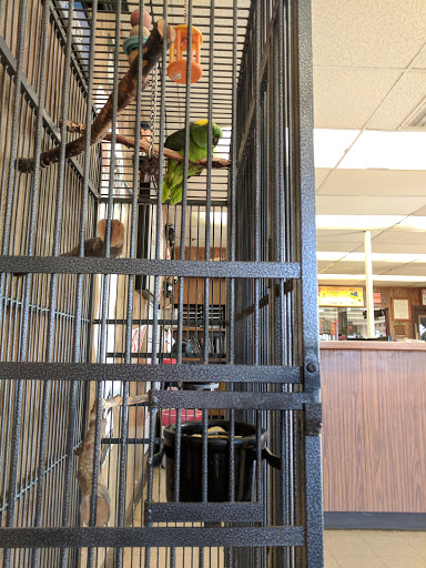 Tire Shop «Valley Tire Center», reviews and photos, 179 W Main St, Woodland, CA 95695, USA