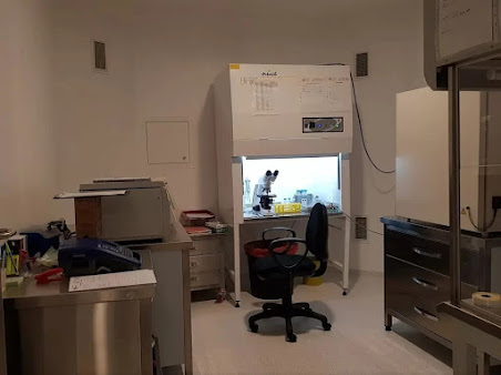 Cyprus Crown ( DrHIT ) Fertility Clinic - Cyprus Crown ( DrHIT ) Fertility Clinic