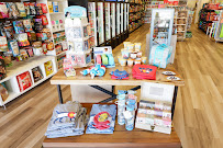 Republic of Paws - Photo 5 - Car repair in Colorado Springs, CO, Colorado Springs