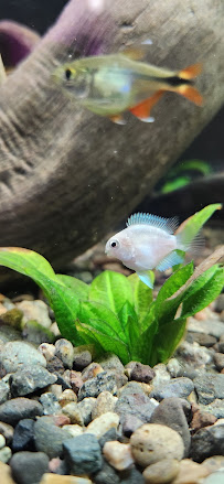 Treasure State Aquariums - Photo 8 - Car repair in Billings, MT, Billings