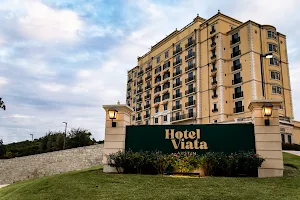 Hotel Viata image