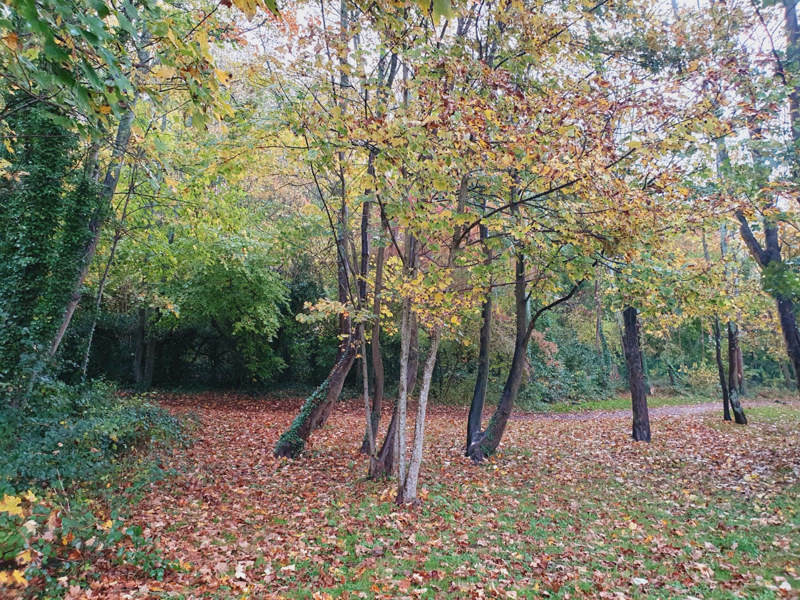 Photo n° 4 de l'avis de Arnaud.o fait le 31/10/2021 à 16:59